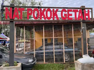 Nat Pokok Getah