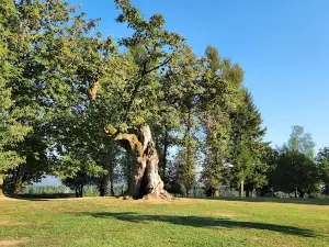 Fraser River Heritage Park