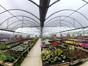 Allred's Yard & Garden