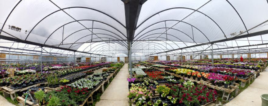 Allred's Yard & Garden