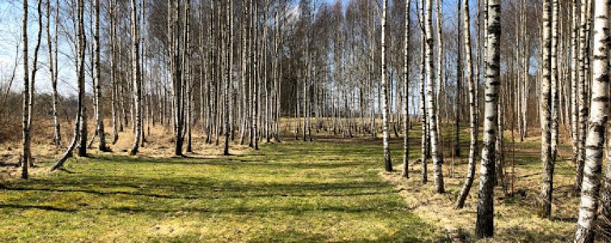 Hässleholm Discgolfpark