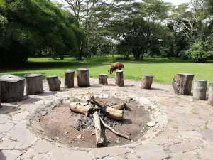 Siana Springs Tented Camp