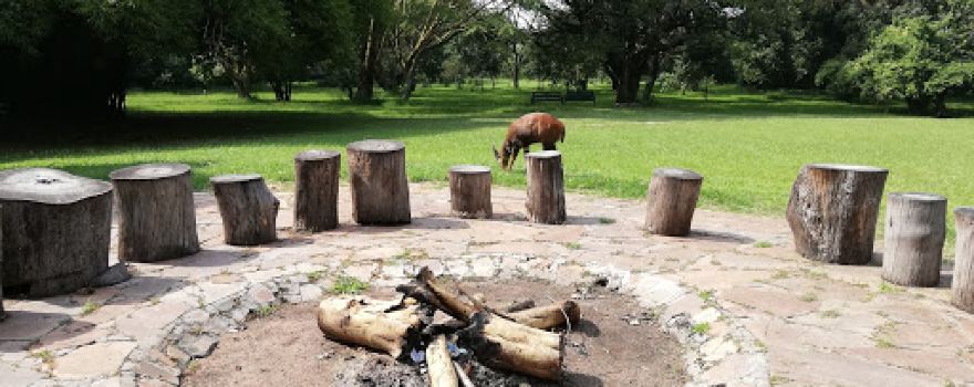 Siana Springs Tented Camp