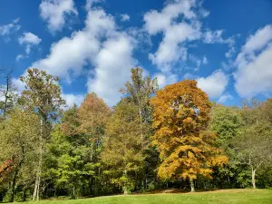 Brush Creek Park