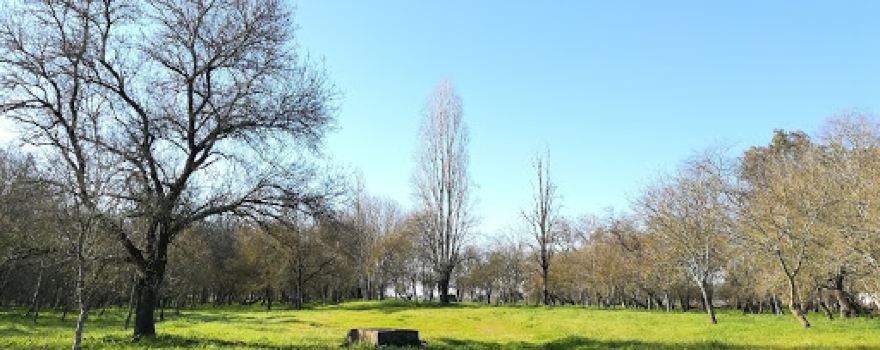 Park Valada Ribatejo