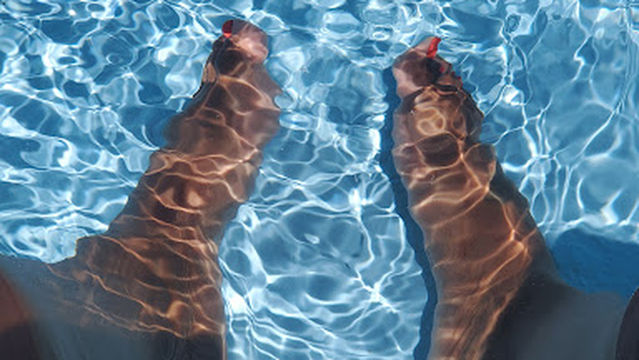 Shamrock City Swimming Pool