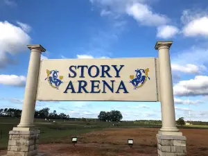 Story Arena