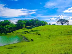 Colosboa Hills