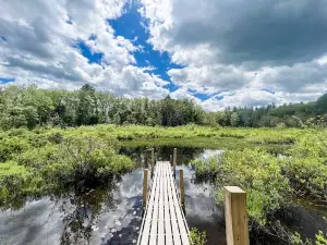 Spacious Skies Campgrounds - Seven Maples