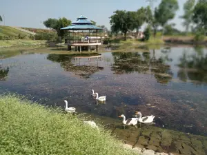 Nagchoon Park