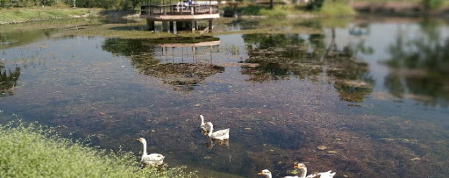 Nagchoon Park