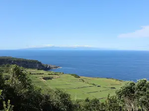 Mata da Serreta