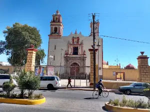 Free zocalo, PUE