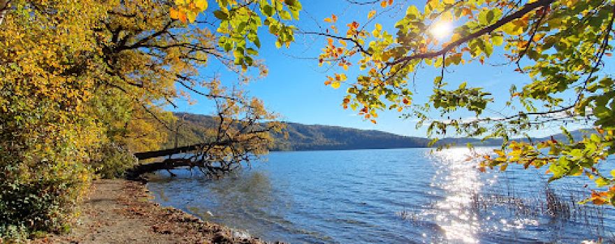 Laacher See Aussichtspunkt