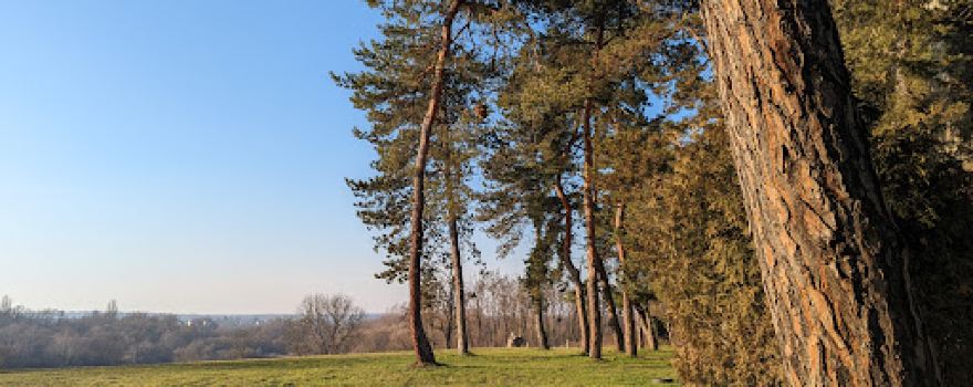 Borik Bjelovar Workout Park