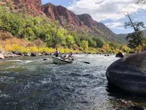 Gone Fishing Colorado