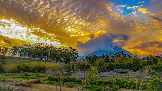 Tulbagh Kitchen Gardens T/A Boer & Blompot