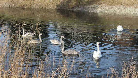 Akumulacijsko jezero Donja Dubrava