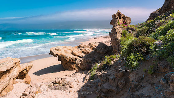 Spiaggia Di Porto Paglia