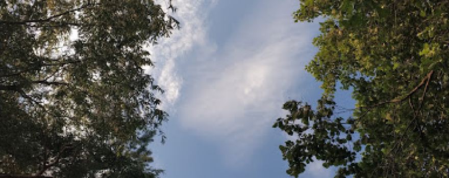 Plyazh