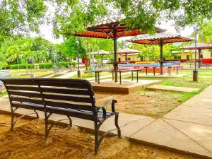 Central Park