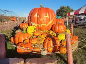 Harvest Tyme Family Farm