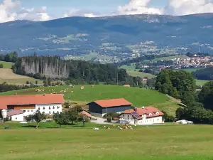 Schaukelweg