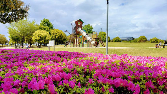 Oyama
