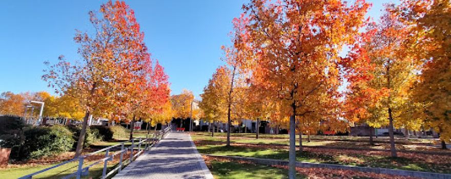 Parco a Lago
