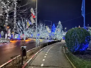 Targul de Crăciun Mioveni