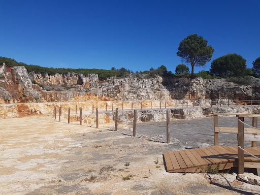 Pegadas de Dinossauros de Vale de Meios
