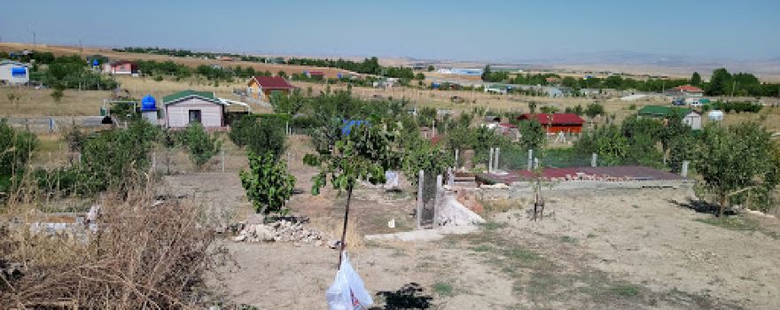 eyüp şahinin bahçesi
