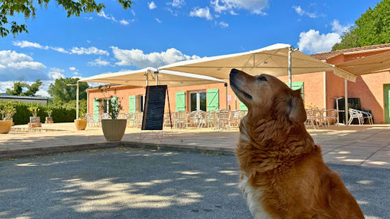 Camping Tikayan Oxygène