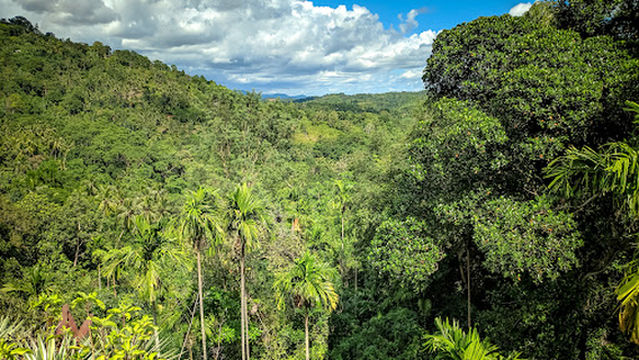 Sittamgallena Purana Raja Maha Viharaya