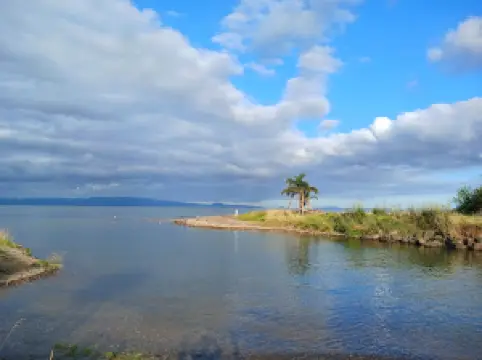 Te Puru Holiday Park