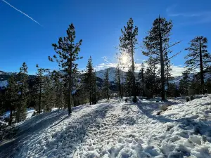 Donner Lake Vista Point