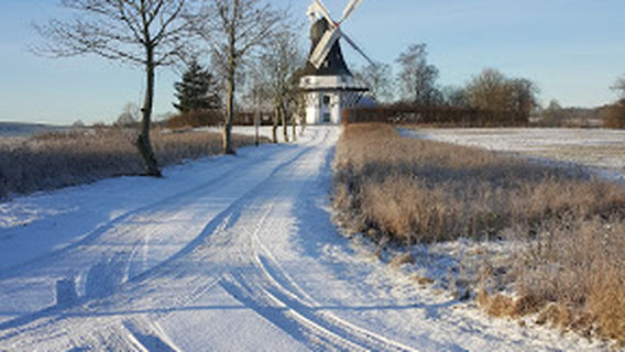 Egeskov Mølle