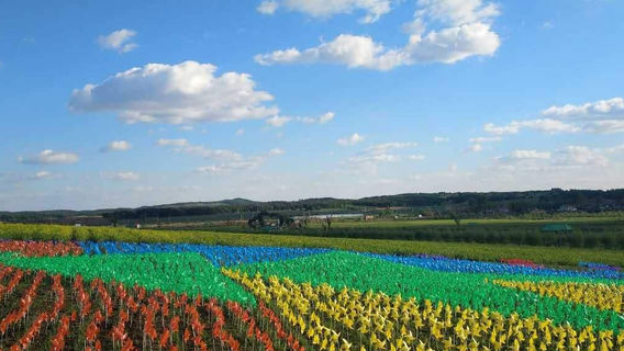 Ciluhu Wetland Park