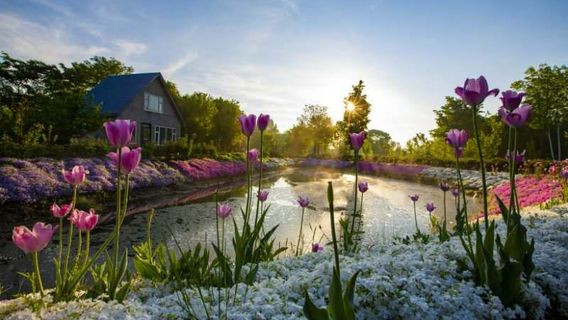 Jingyu County Peony Garden