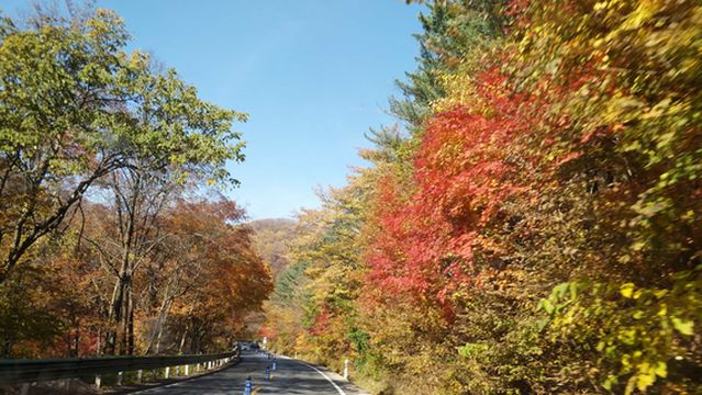 Huanren National Big Forest Park
