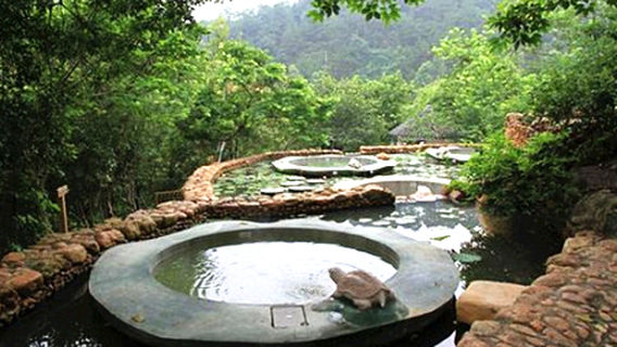 Xiaoqiao Hot Springs