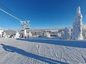 Vuokatti slopes
