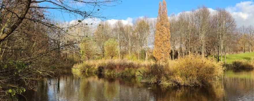 Ahne Park