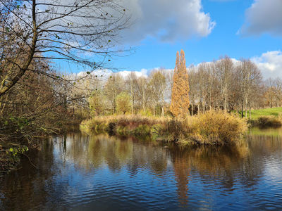 Ahne Park