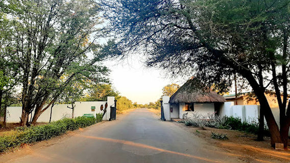 Mopani