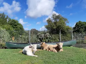 Taumarunui Canoe Hire & Jet Boat Tours
