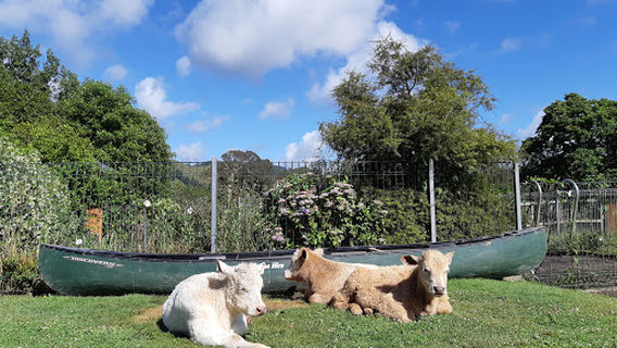 Taumarunui Canoe Hire & Jet Boat Tours