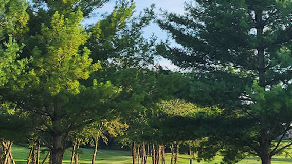 Cherry Blossom Golf Club