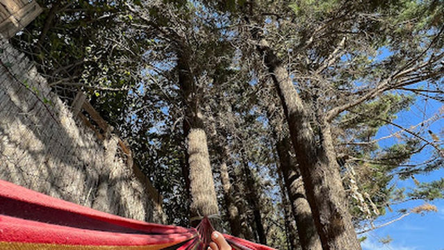 Botacura - Cajón del Maipo