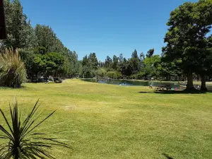 Camping springs Panquehue